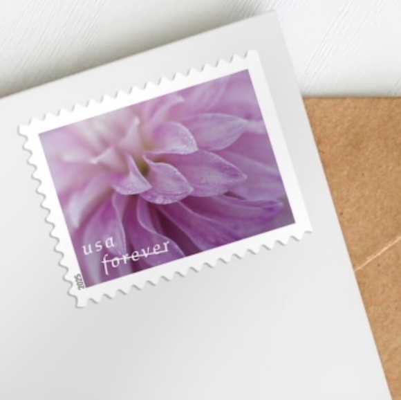 100 Dahlias 2025 Forever Stamps Wedding Invitations‎ USPS Save The Date - Picture 2 of 8